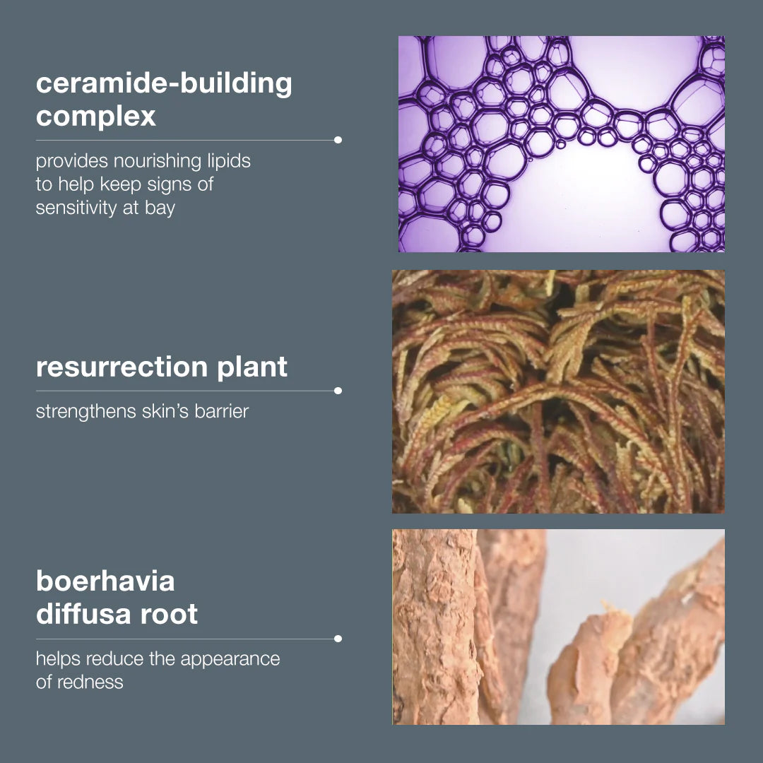 Dermalogica Stabilizing Repair Cream 100ml