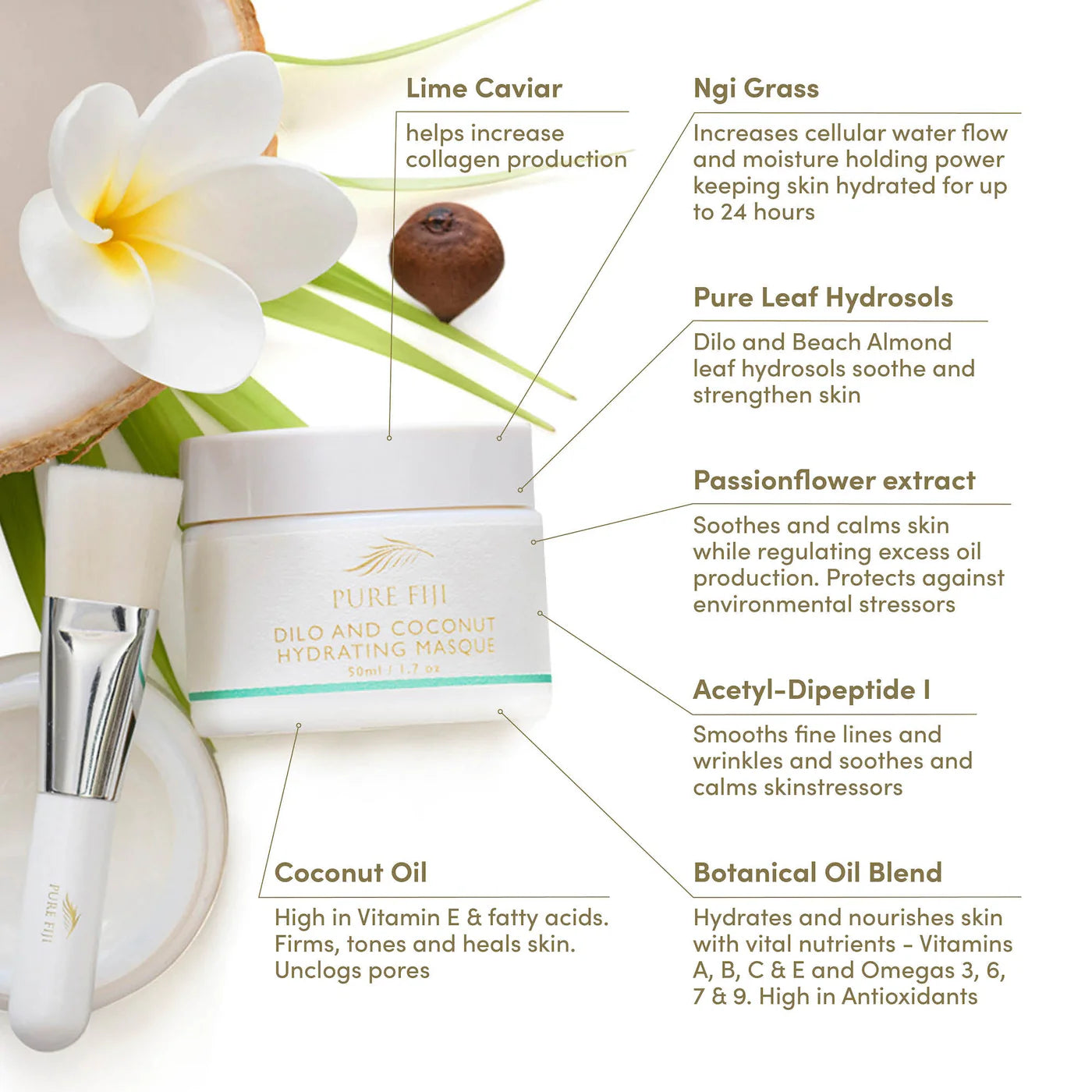 Pure Fiji Dilo Hydrating Masque