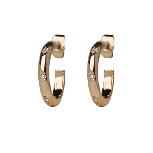 Gold Crystal Hoop Earrings