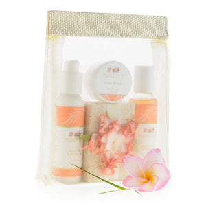 Pure Fiji Set Discovery Mango